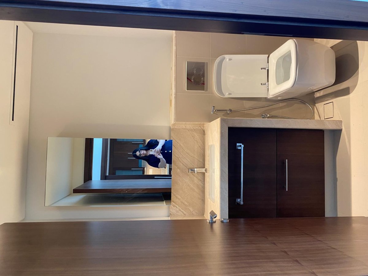 Guest Toilet before renovation